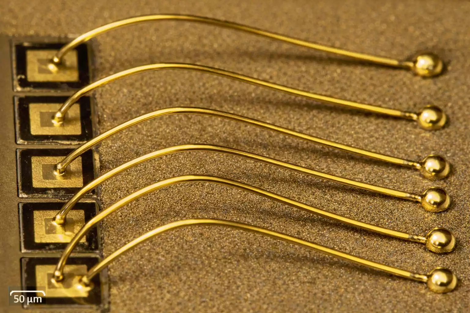 Microscope close-up of gold wire bond loops on bond pads